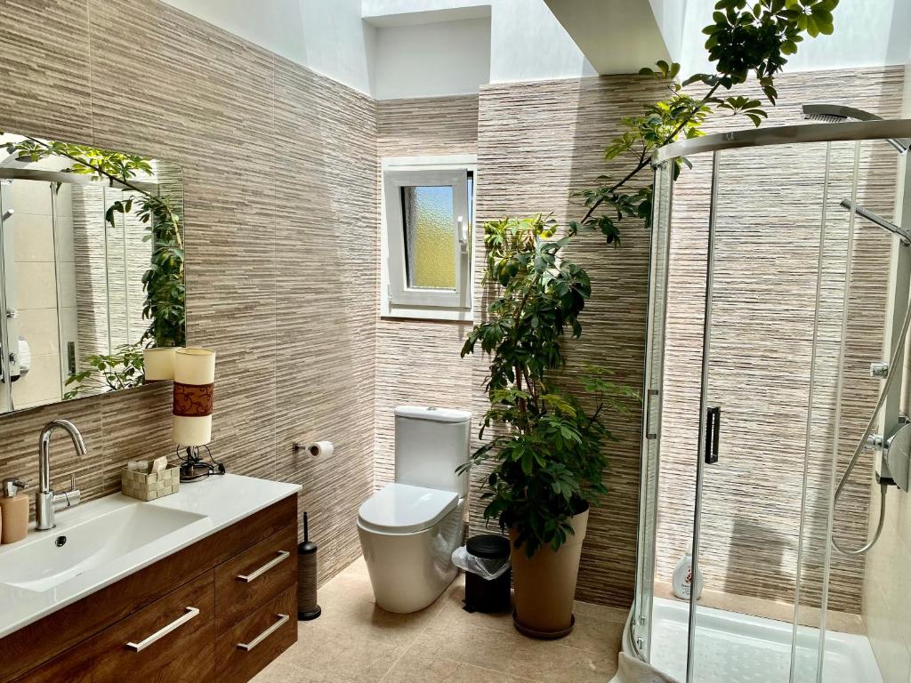 SelíniaSelini apartment的浴室配有卫生间、盥洗盆和淋浴。
