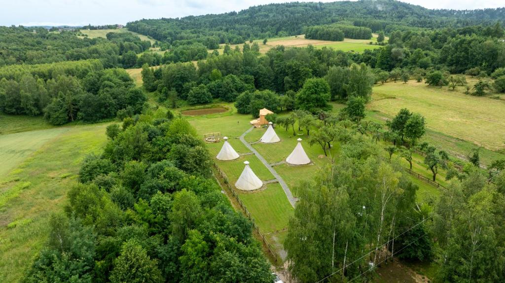 BęczynMoon Glamping Resort的一群在树丛中的帐篷