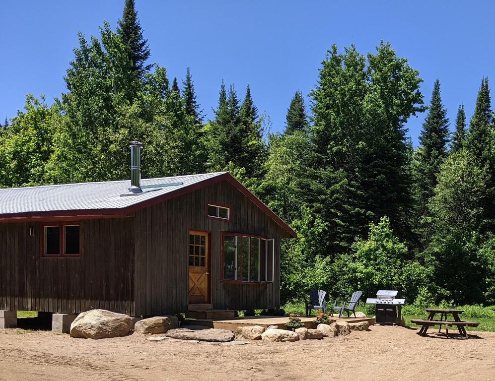 MaynoothMeadowlark Cabin #5的小木屋设有野餐桌和野餐长凳