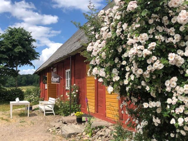 LjungbyhedÄngaröds Gård的一座小房子,上面放着一束鲜花