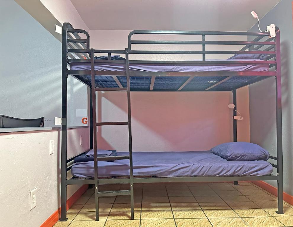 Sin City Hostel客房内的一张或多张双层床