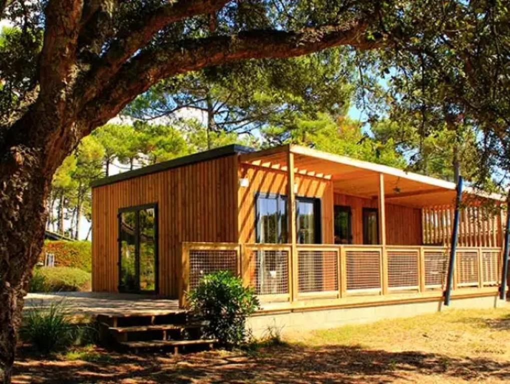 Saint-MaimeChalet 3 étoiles - Parc aquatique - eecfeb的一座小木房子,有一棵大树