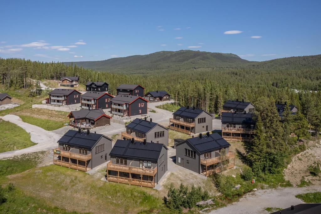 菲奈斯达伦Parkstigens Fjällby - Kåvan的享有高山房屋的空中景致