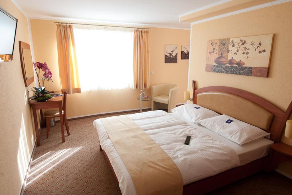 菲尔德施塔特Aristo Hotel的酒店客房设有床和窗户。