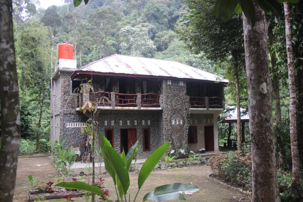 武吉拉旺Rinte Green Village & Bukit Lawang Jungle Trekking的森林中间的建筑物