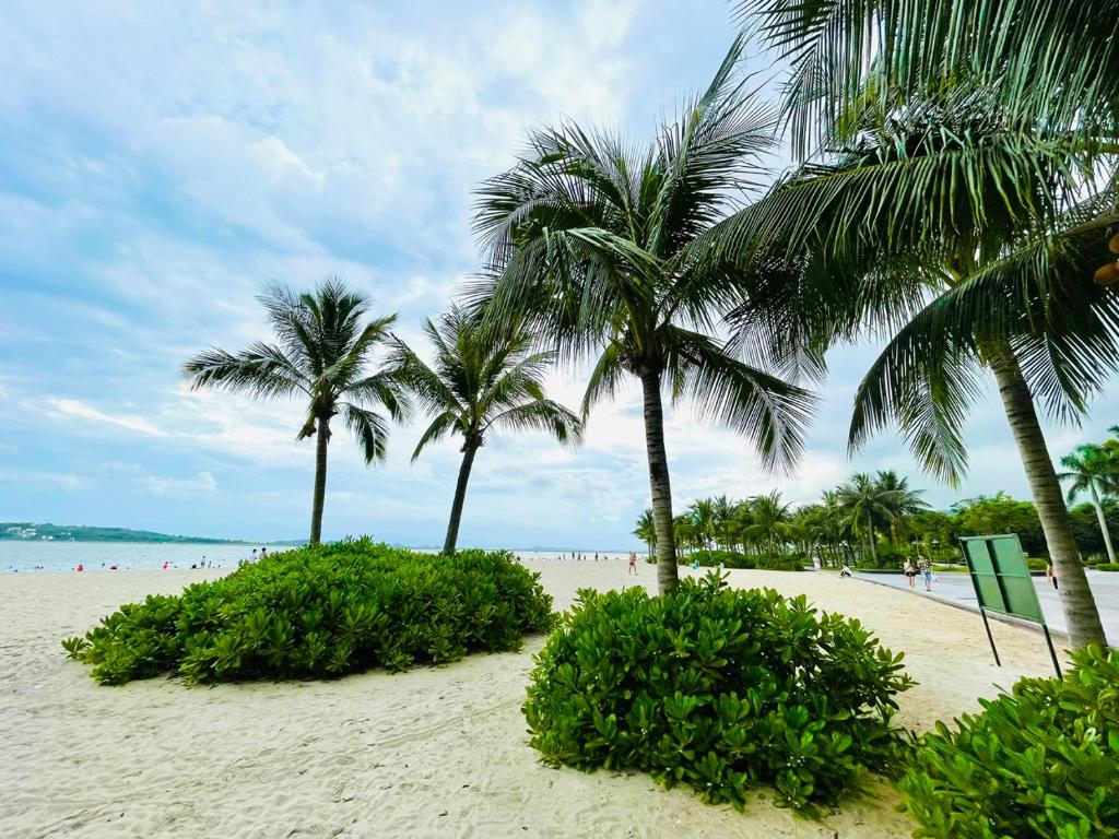 下龙湾Lana's House Green Bay Ha Long - Near Marina Beach的沙滩上的棕榈树