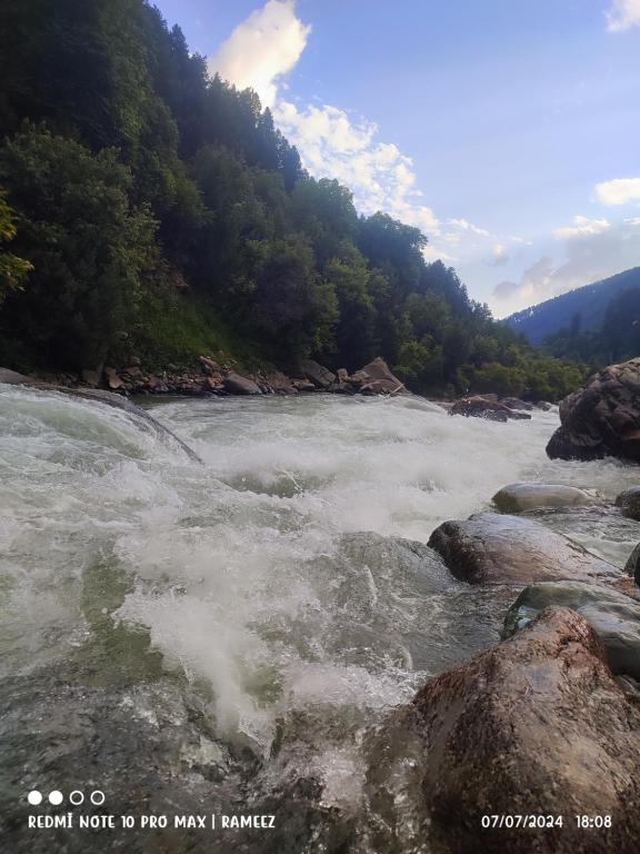 Nikri DhokriNatural Meadows Kashmir的一条在岩石和树木上流 ⁇ 的河流