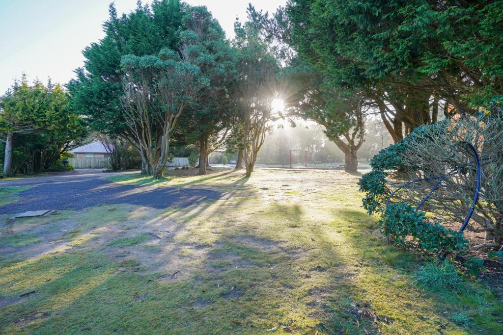 Otatarabeach road holiday park的一条绿树成荫的道路,阳光照耀着