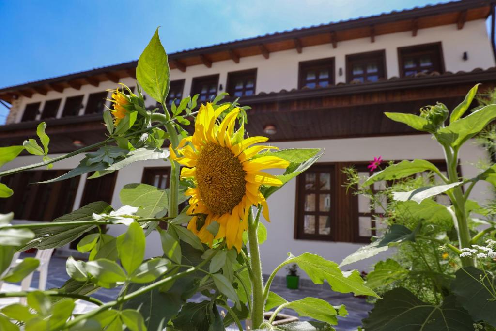 克鲁亚The House of Dollma , Inside Kruja Castle的建筑物前的向日葵