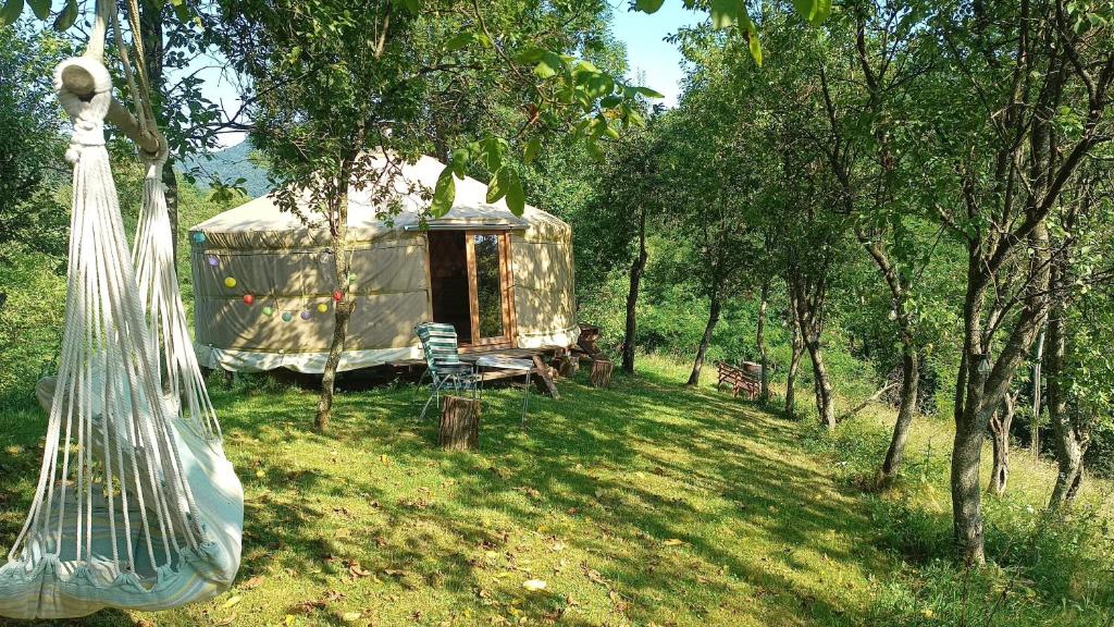 GrohoţeleRomantic yurt in Apuseni mountains的树林中的蒙古包,带秋千