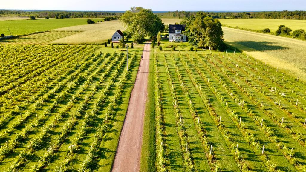 MiscoucheSunbury Cove Winery的地面上土路的空中景观