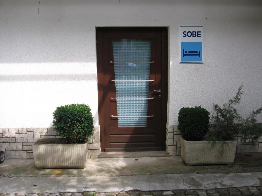 伊利尔斯卡比斯特里察Guest House Rože的前面有两棵盆栽植物的房子的门