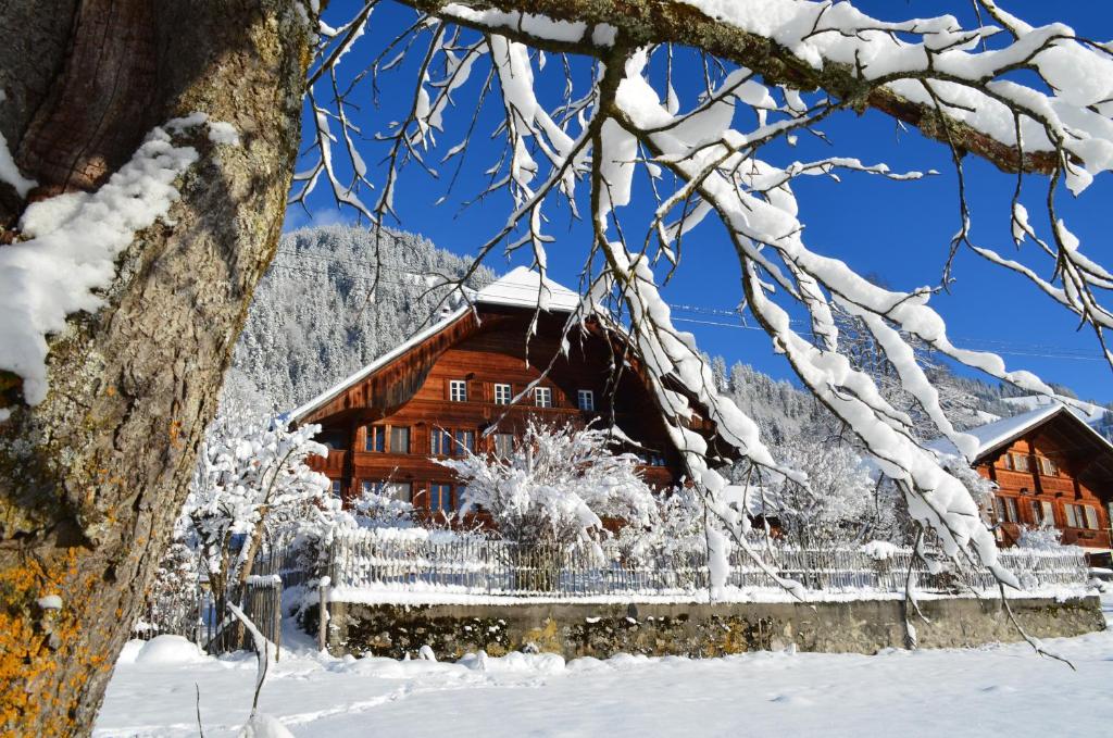 Erlenbach im SimmentalSwiss Mountain-Valley View Lodge的雪地里的小木屋,有树