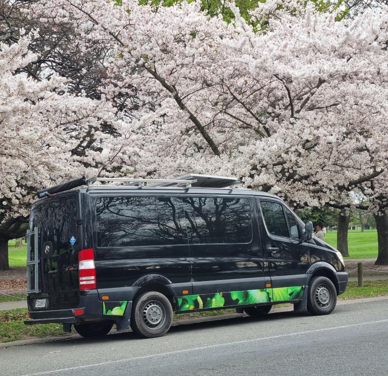 基督城Home on Wheels near Christchurch Airport的一辆停在路边的黑色货车,上面有开花的树木