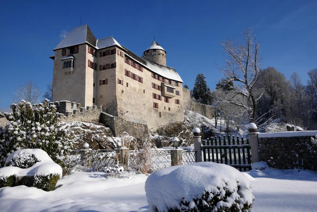 阿尔普巴赫谷地赖特Schloss Matzen的雪中一座大建筑,有雪覆盖的灌木丛