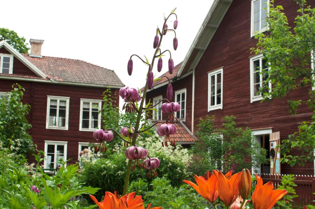 瑟德港Hälsingegården Erik-Anders的鲜花屋前的花园
