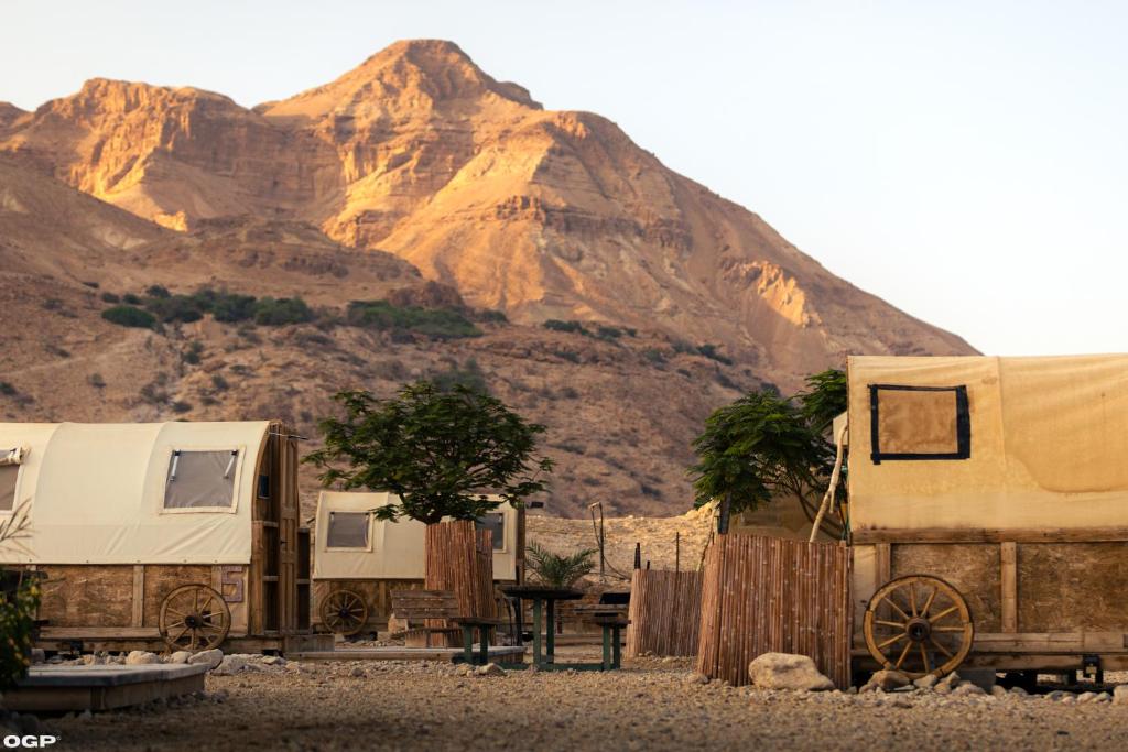 基布兹恩戈蒂Badolina Ein Gedi Glamping的停在山前的一群人