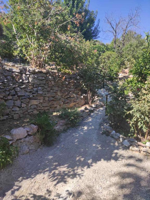 Πέτρινο Αλώνι平面图