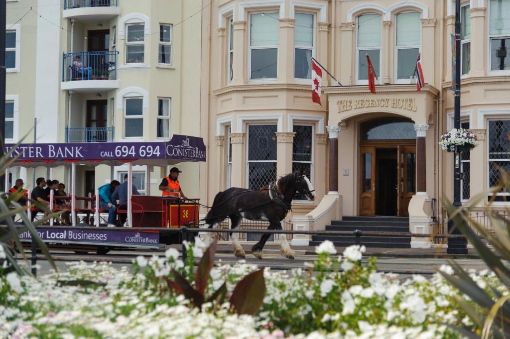 道格拉斯Regency Hotel的正在大楼前跑的马