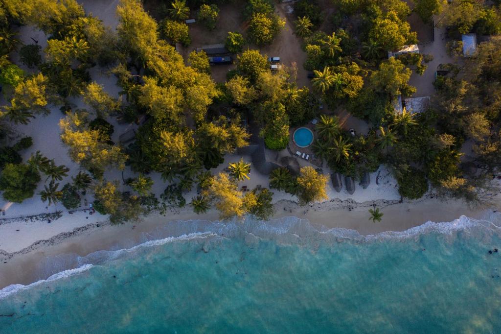 达累斯萨拉姆Mikadi Beach Camp & Backpackers的享有树木繁茂的海滩和大海的上方景色