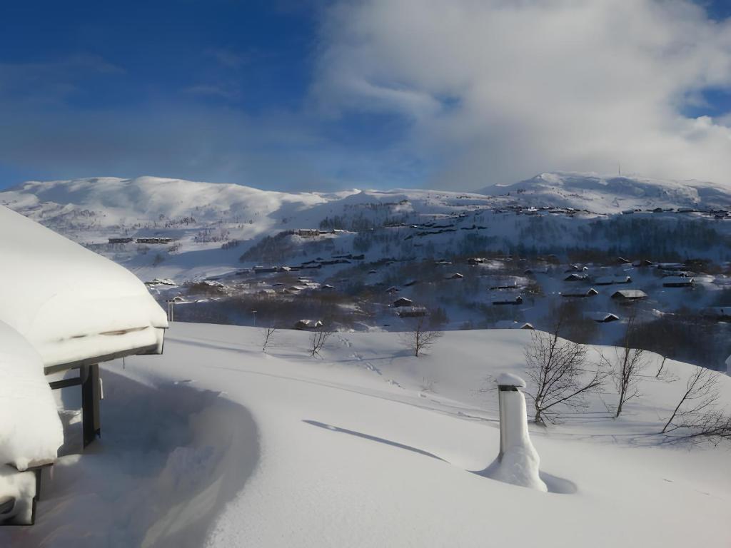 VågsliHaukeli Mountain Cabin的远处小镇的雪景