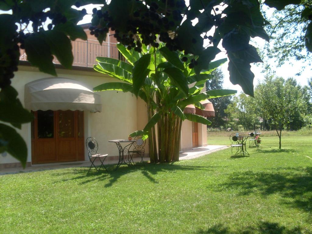 蒙赞巴诺阿尔特拉芒托住宿加早餐旅馆的房子院子中的一棵树