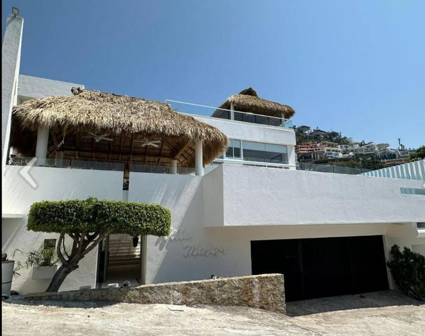 阿卡普尔科Hermosa casa en Acapulco Villa Majum的一间有稻草屋顶和一棵树的白色房子