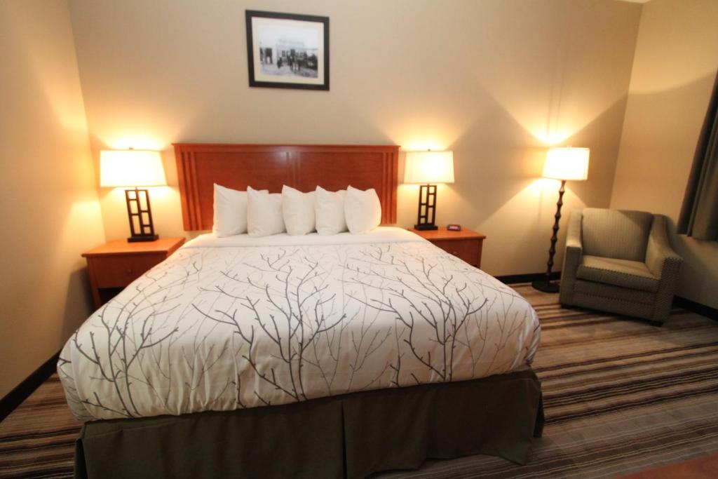 鲍曼Bowman Lodge & Convention Center的酒店客房,配有一张床、椅子和灯具
