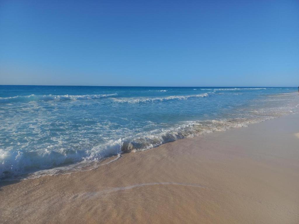 阿莱曼Room in 2 minutes from the beach的海滩上可欣赏到海景