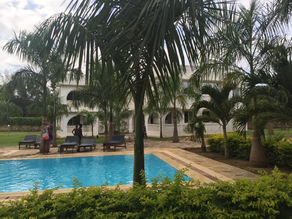 姆特瓦帕皇家棕榈瓦帕公寓的游泳池旁的棕榈树