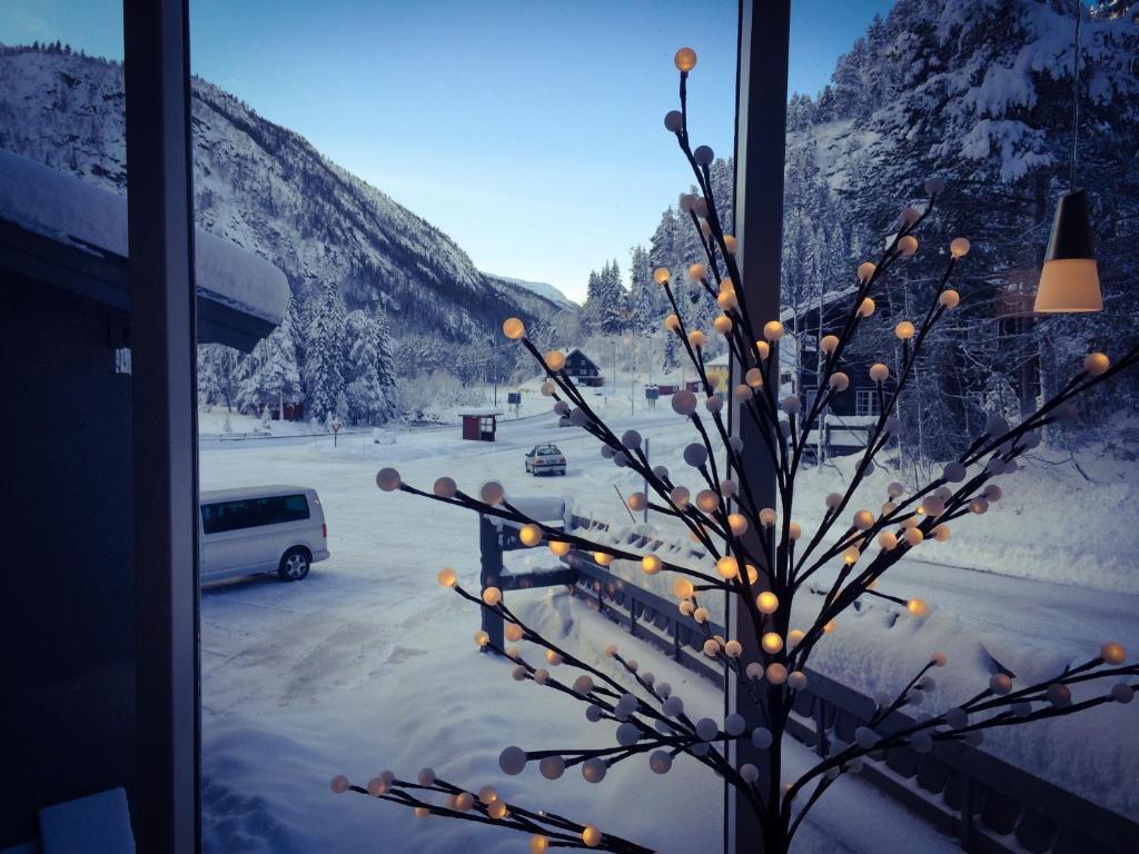 海于克利格伦Haukeli Hotel的窗前的圣诞树,有灯