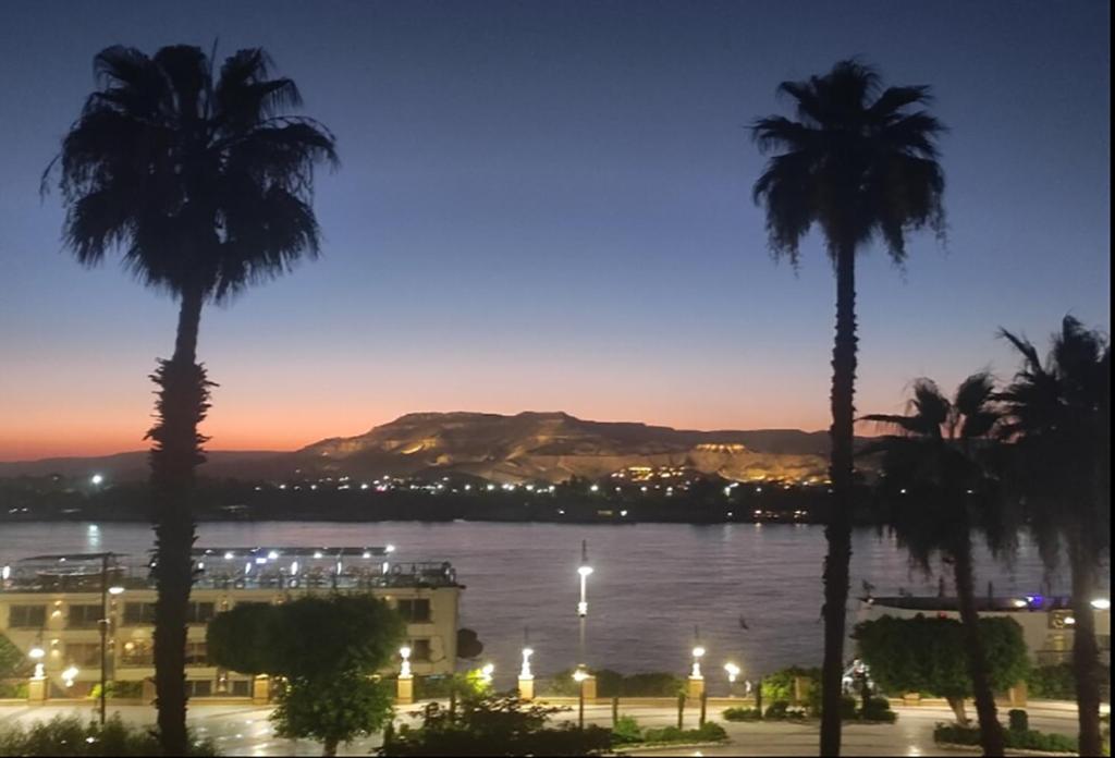 卢克索Aracan Eatabe Luxor Hotel的享有水景和棕榈树美景。