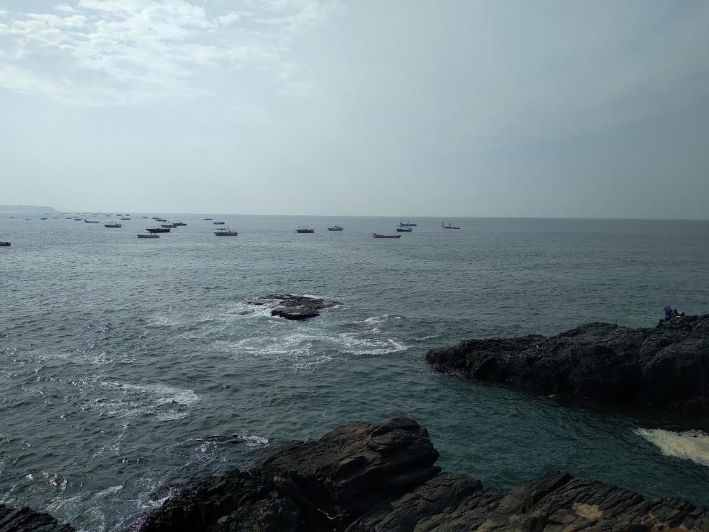 卡兰古特The Balaji inn Baga的岩石附近海域的一群船