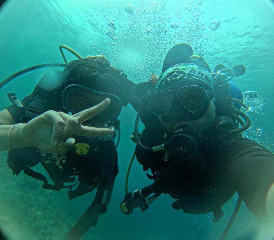 布兰卡滩Cabaña Beach Traveling的水肺潜水器中的两个人在水中游泳