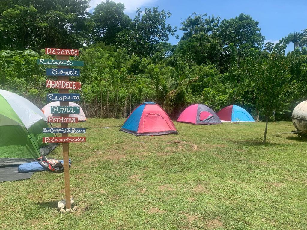 Camping La Bucara的一组帐篷前的标志