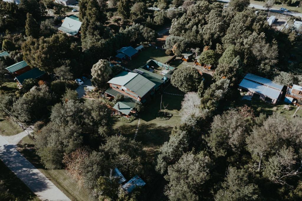 斯托姆勒菲Storms River Forest Lodge的树林中房屋的顶部景色