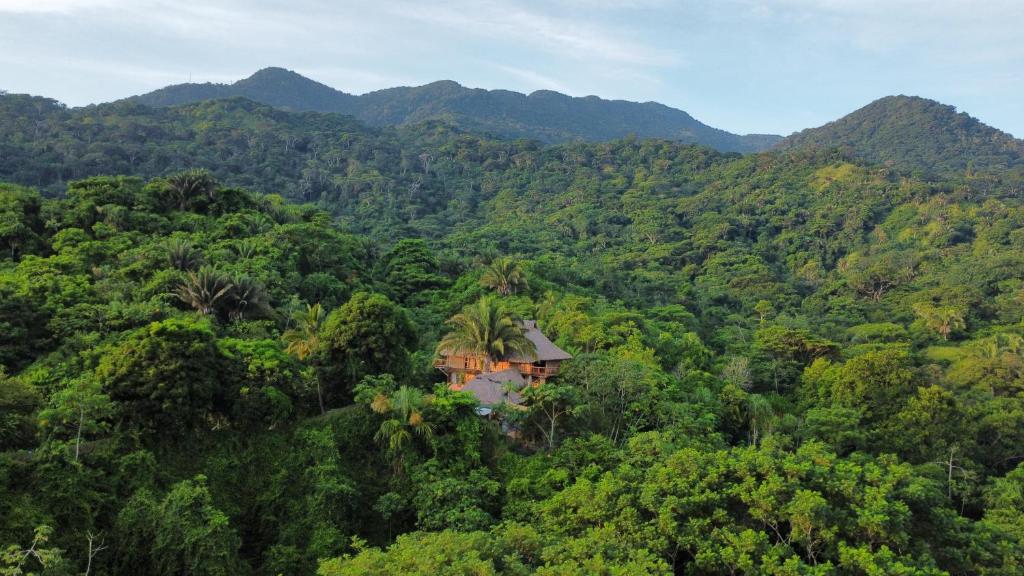 埃尔扎伊诺Frana Lodge的森林中间房屋的空中景观