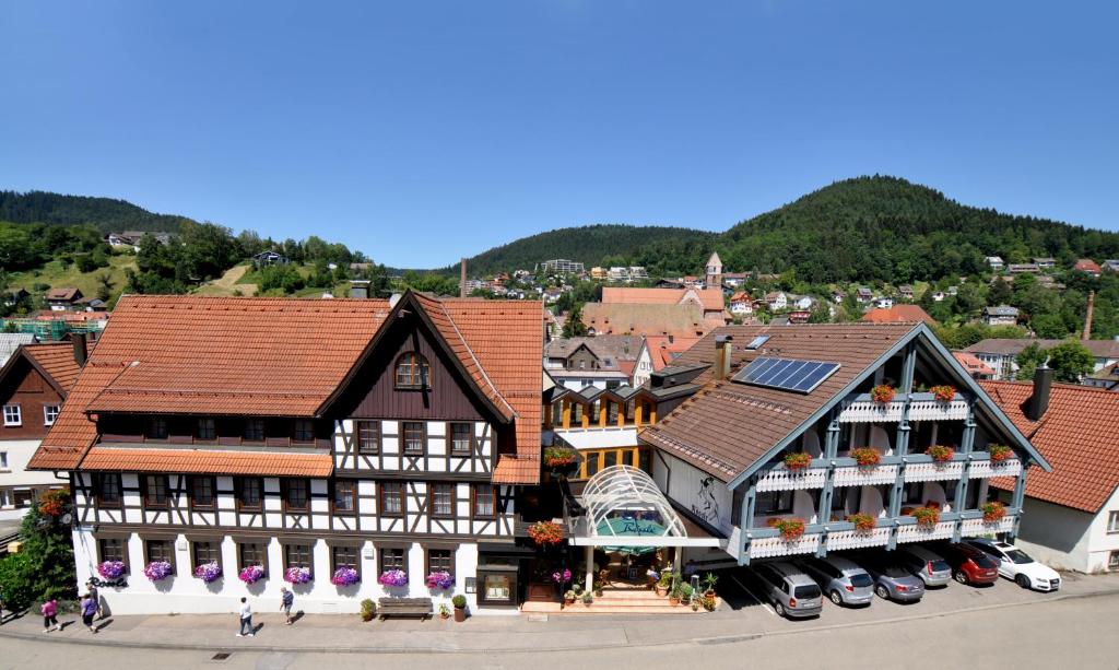 阿尔皮尔斯巴赫罗索尔酒店的城镇建筑的头顶景色