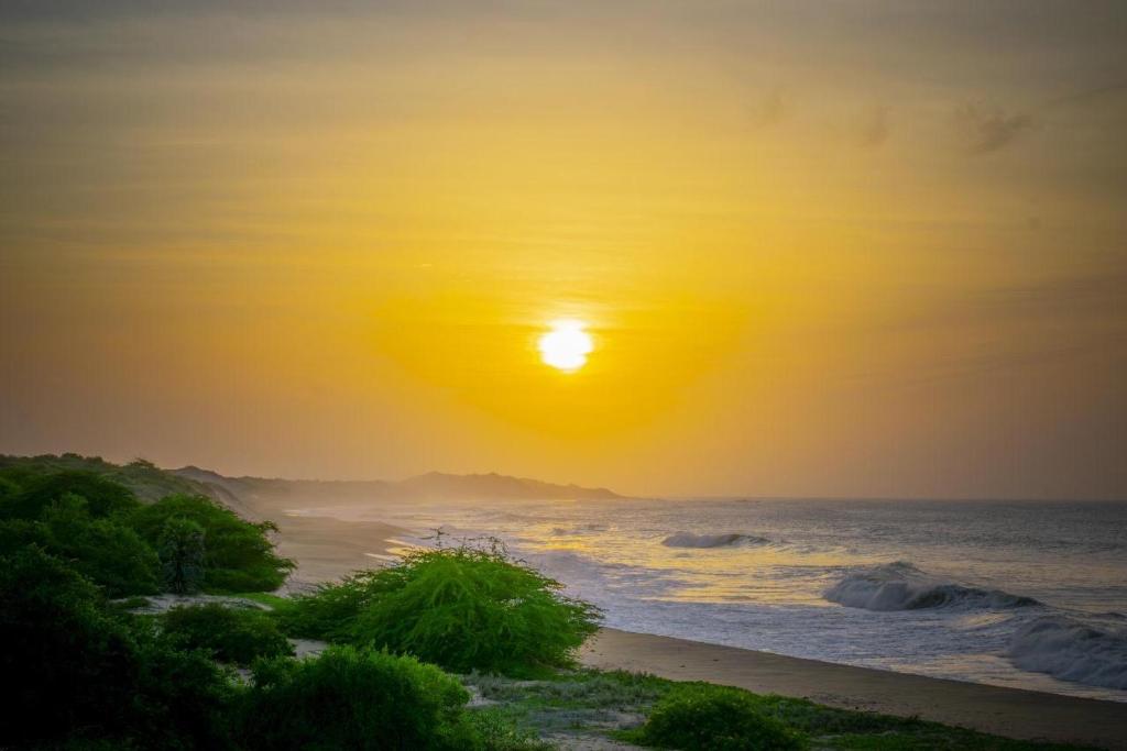 基林德Cozye Beach Camping Yala的海滩上的日落和日落