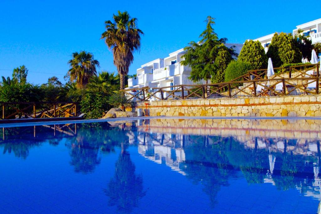 阿莫利亚尼岛阿吉奥尼斯度假酒店的棕榈树和建筑的海水游泳池
