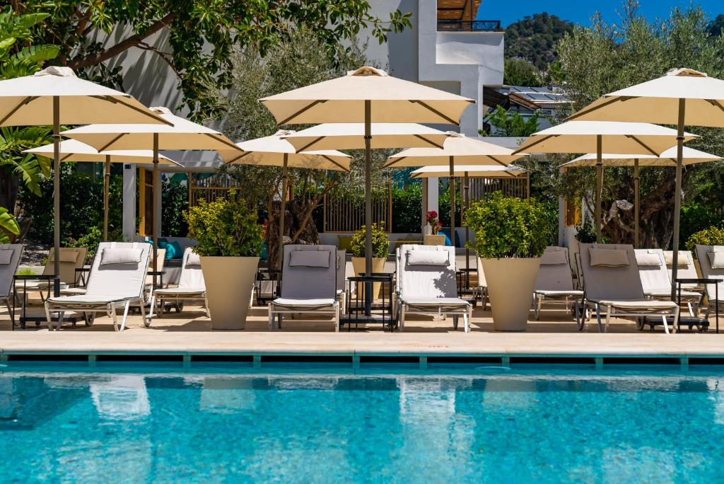 Ölüdeniz Blu Luxury Unique Hotel - Adults-Only内部或周边的泳池
