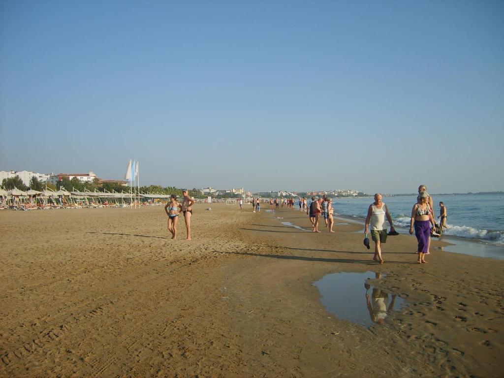 锡德Botanik Ferienhaus的一群人在海滩上散步