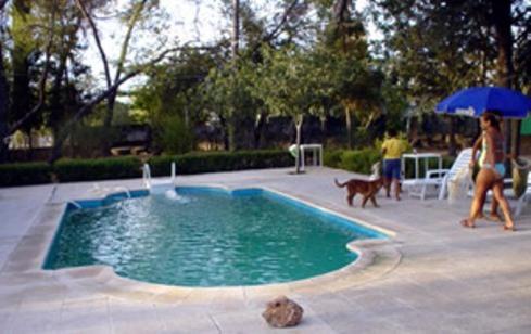 比利亚卡里略卡萨埃雷拉乡间旅馆的一名带遮阳伞的女人和一条狗在游泳池边走