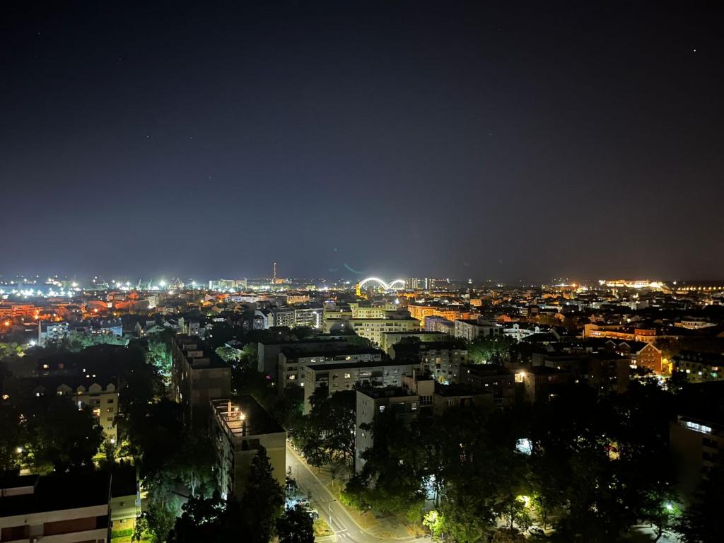 诺维萨德Panoramico Novi Sad的夜晚带灯光的城市景观