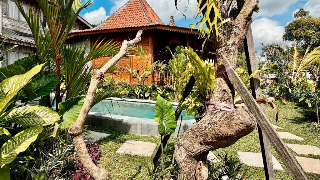 乌布Jagadhita Villas Ubud Bali的花园中带游泳池的房子