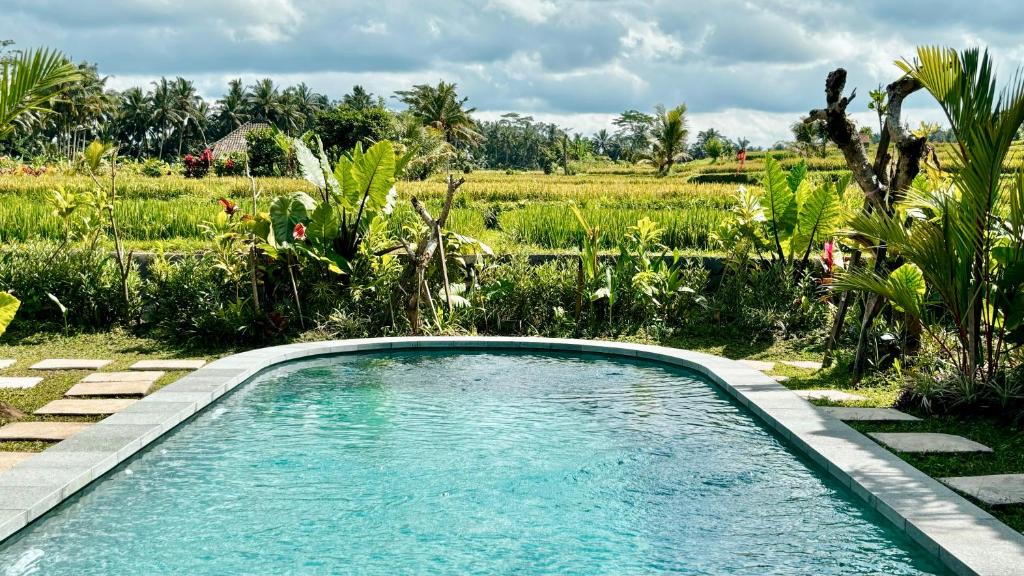 乌布Jagadhita Villas Ubud Bali的花园中的一个游泳池