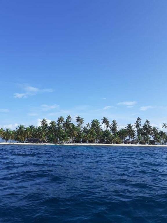 Arritupo Número DosBonitas Islas de San Blas的水体中间的一个岛屿