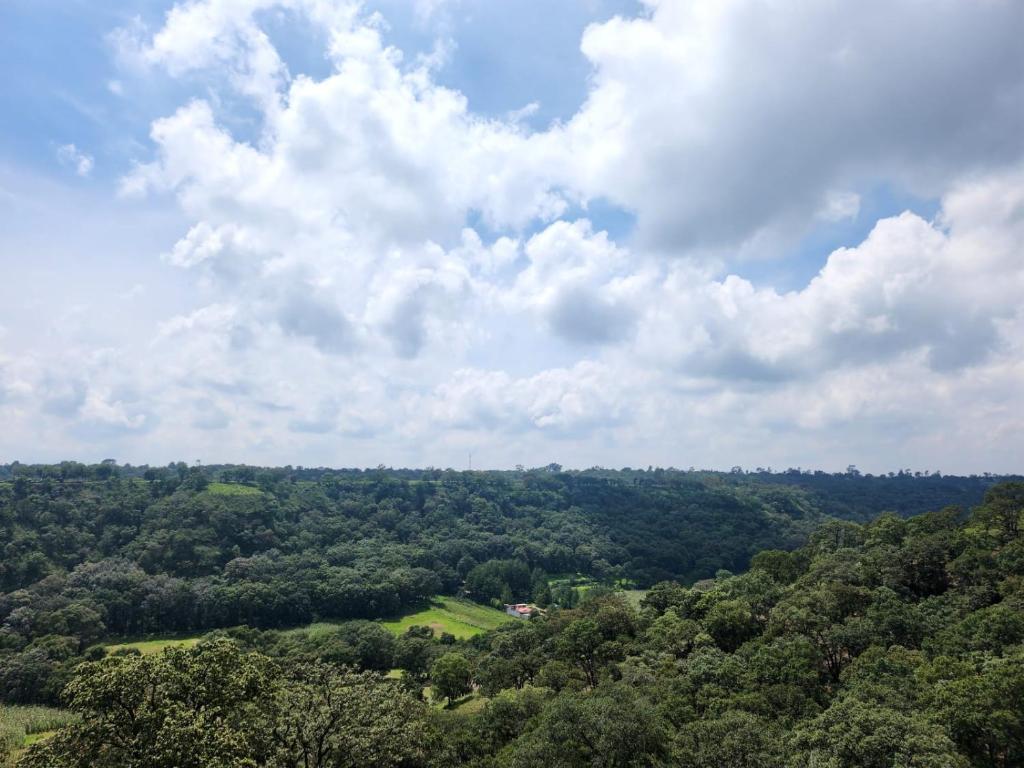 卡尔波镇Rancho San Miguel的森林的顶部景色,树木和云