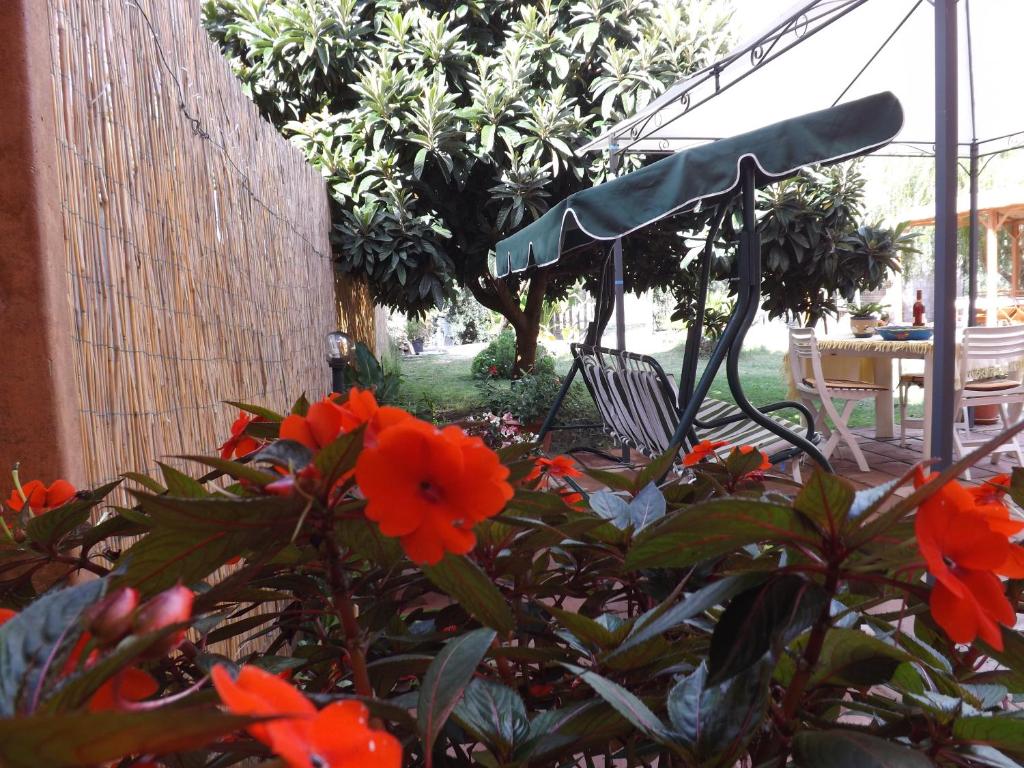 圣塔·马里亚·迪·帕尔玛IL Noce ALGHERO的种有橙花和长凳的花园