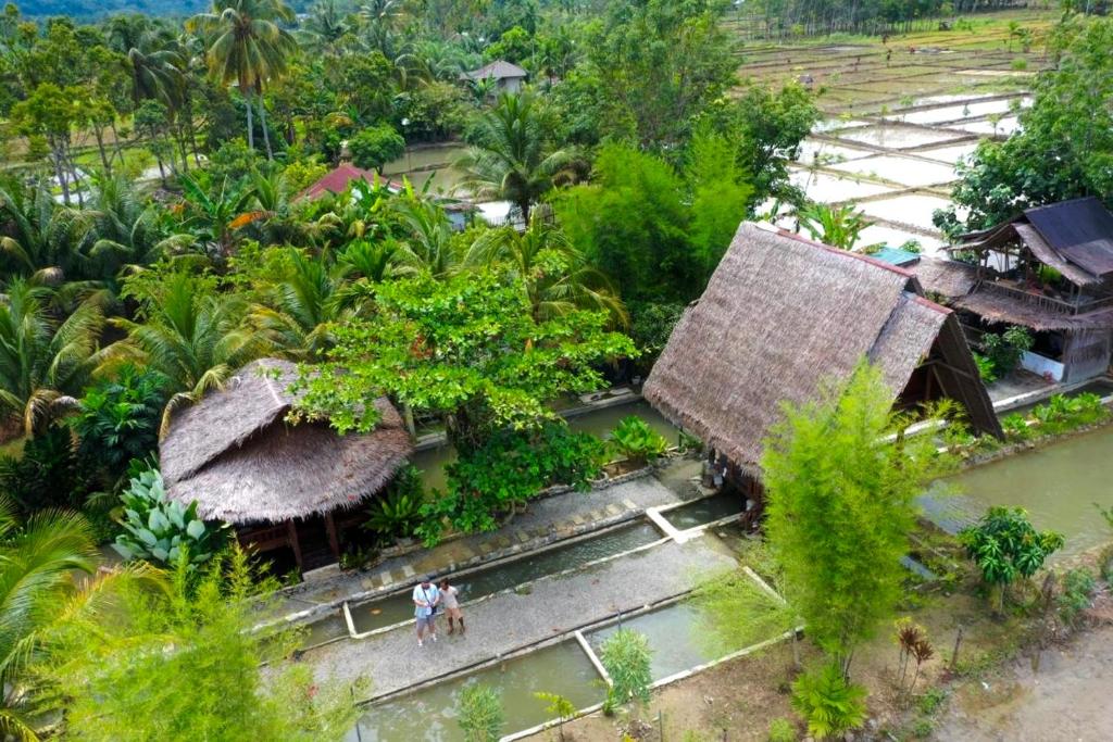 武吉拉旺Tropical Jungle lodge & Jungle trekking的度假村的顶部景色,人们在周围散步